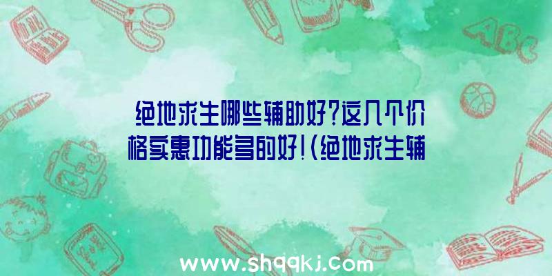 绝地求生哪些辅助好？这几个价格实惠功能多的好！（绝地求生辅助有透视,自瞄,防盗锁芯,火炮追踪这种的作用）